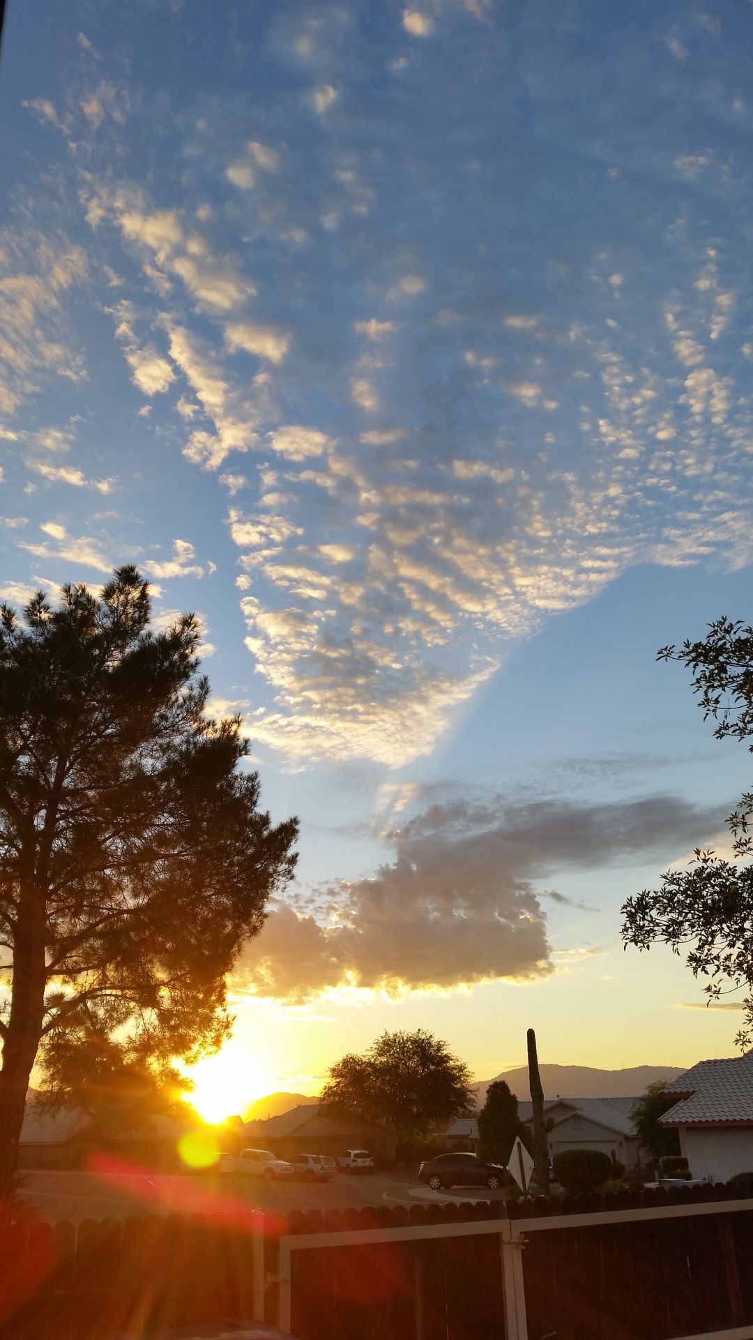 August Sunrise